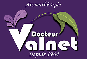 logo_valnet